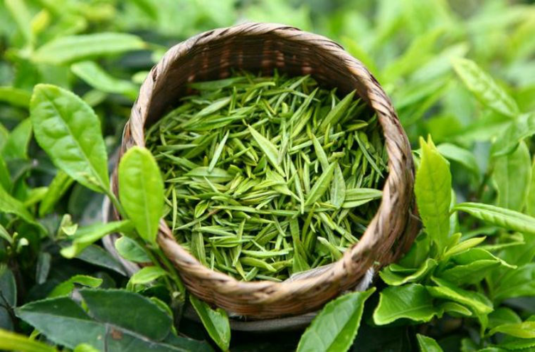 L-Theanine green tea