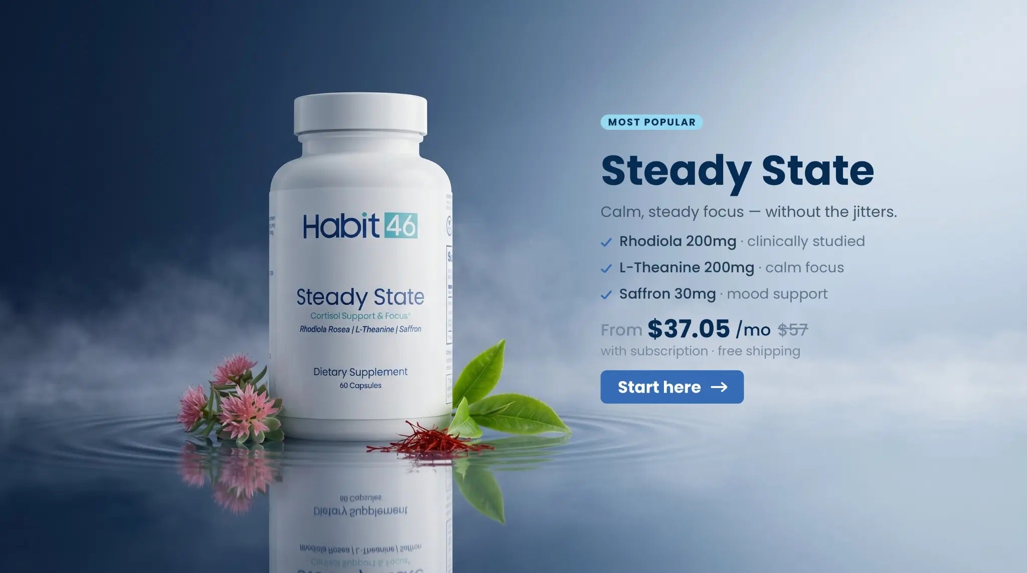 Steady State — calm, steady focus. From $37.05/mo with subscription.